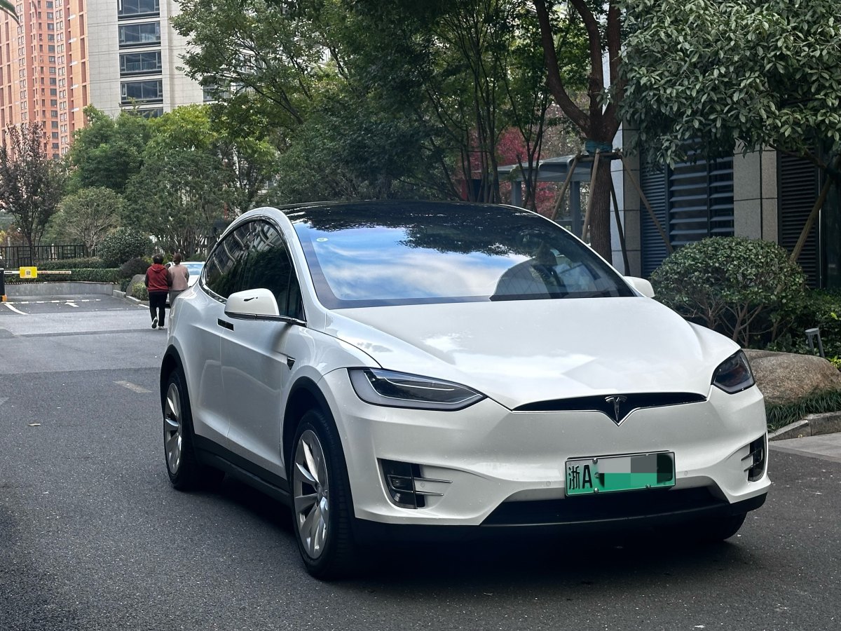 特斯拉 Model X  2017款 Model X 100D 長續(xù)航版圖片