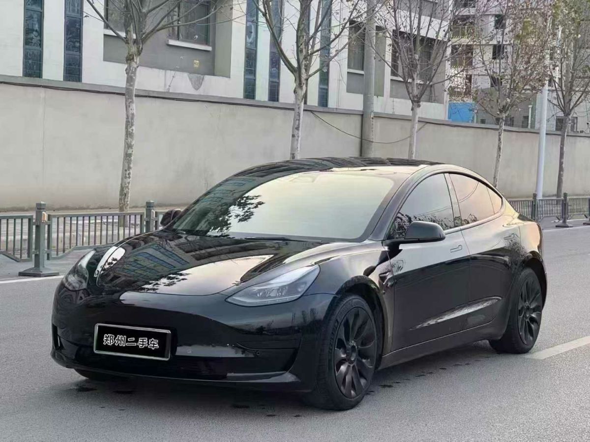 特斯拉 Model 3  2022款 Performance高性能全輪驅(qū)動(dòng)版圖片