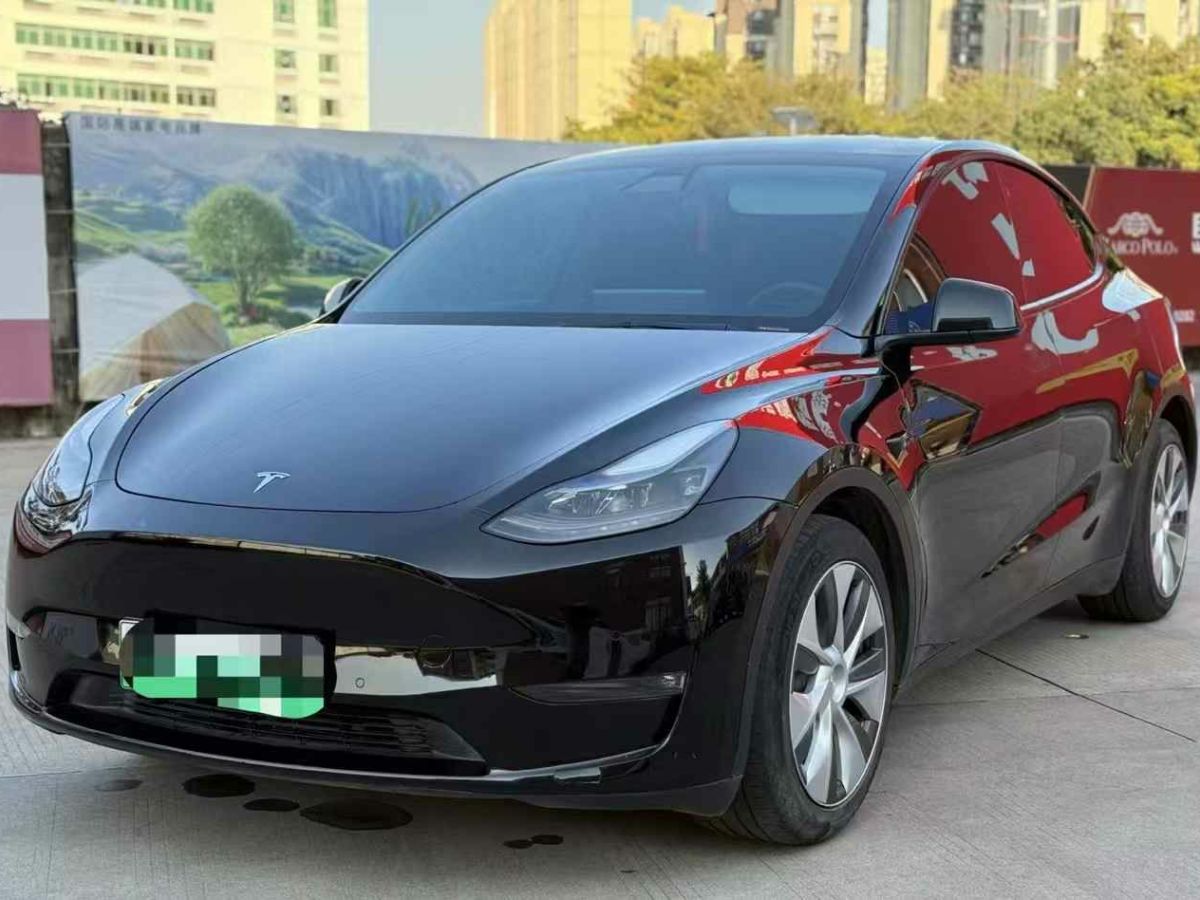 特斯拉 Model 3  2022款 Performance高性能全輪驅(qū)動(dòng)版圖片