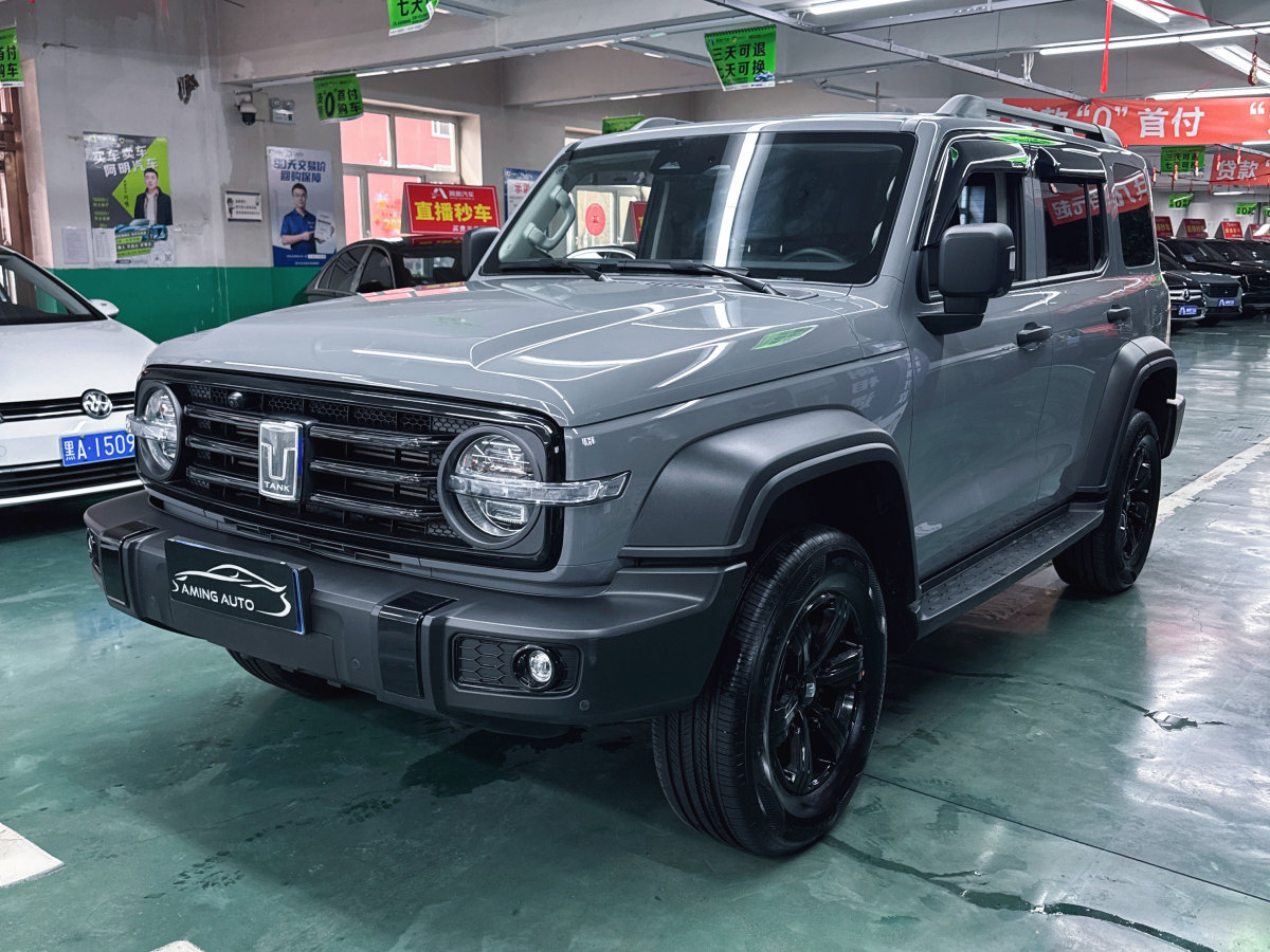 坦克 坦克300  2023款 2.0T 鐵騎02圖片