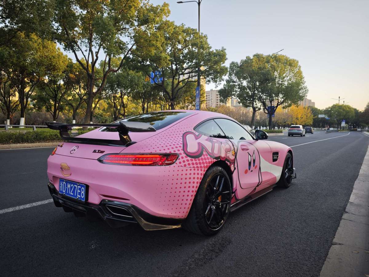 奔馳 奔馳AMG GT  2019款 AMG GT圖片