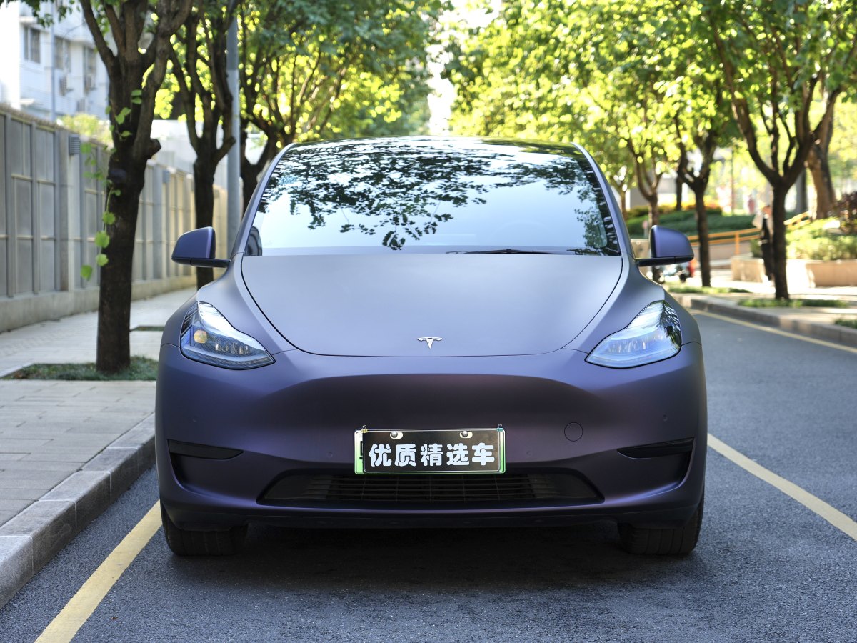 特斯拉 Model 3  2022款 后輪驅(qū)動版圖片