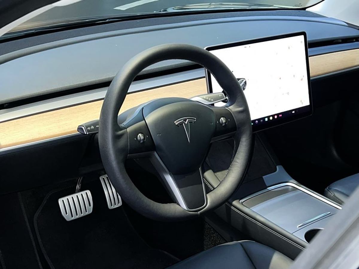 特斯拉 Model Y  2021款 Performance高性能全輪驅動版圖片