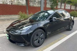Model 3 特斯拉 改款 標(biāo)準(zhǔn)續(xù)航后驅(qū)升級(jí)版