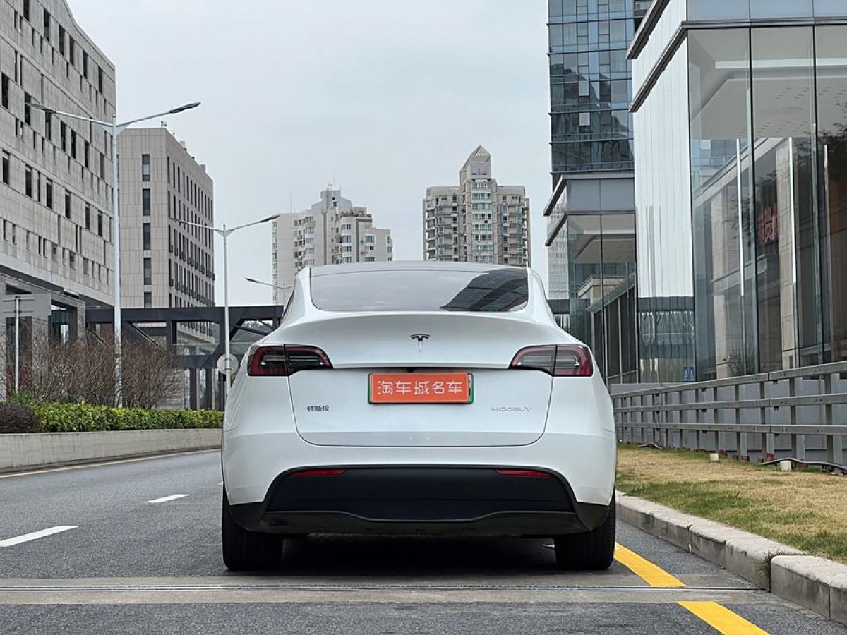 特斯拉 Model 3  2020款 改款 長續(xù)航后輪驅(qū)動版圖片