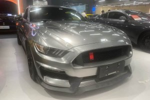 Mustang 福特 5.0L GT 運動版