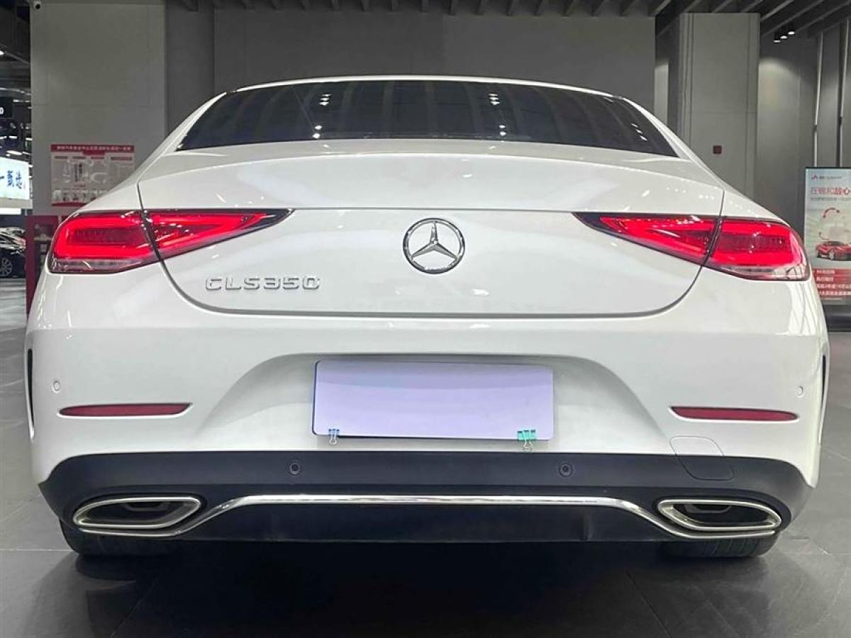 奔馳 奔馳CLS級(jí)  2020款 CLS 300 動(dòng)感型圖片