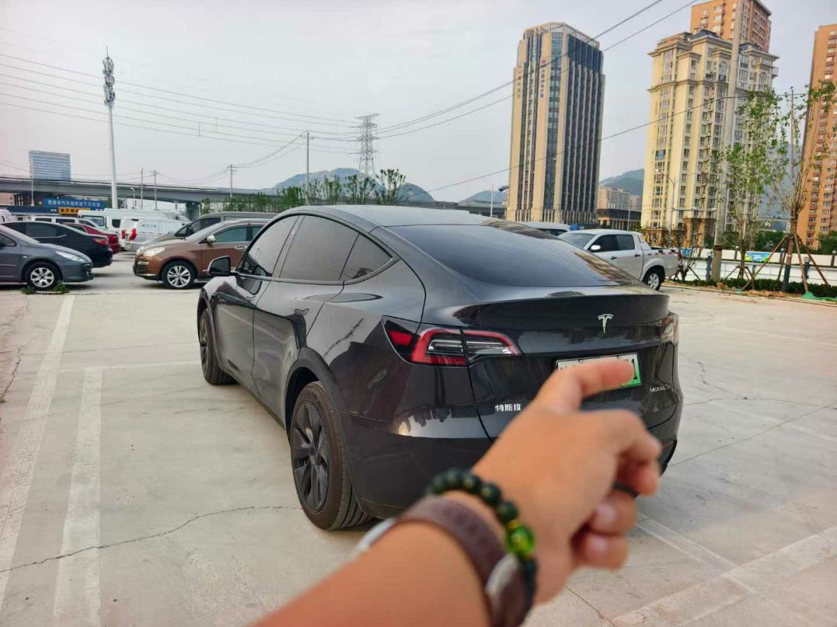 特斯拉 Model Y  2024款 Performance高性能版圖片