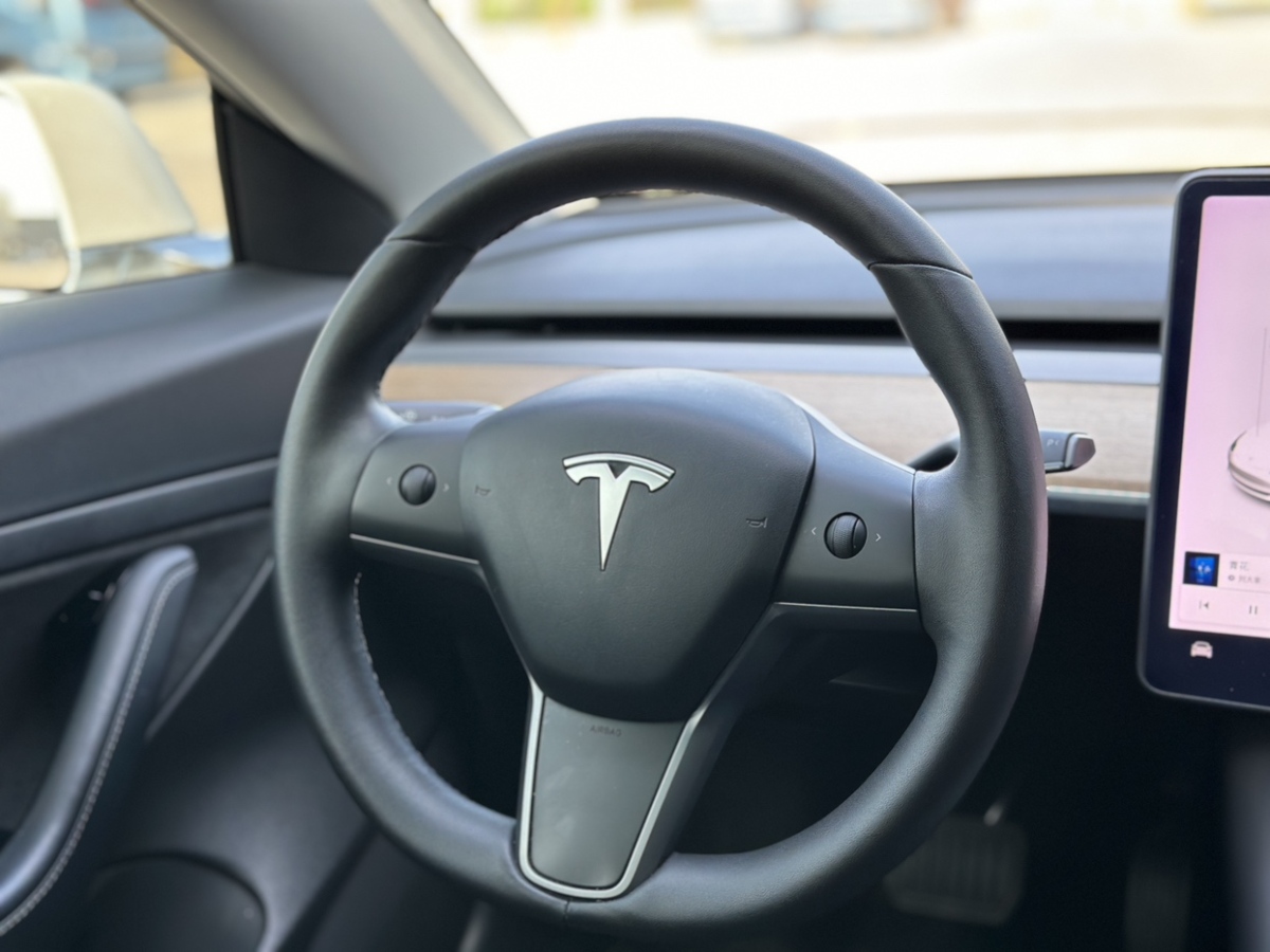 特斯拉 Model 3  2019款 标准续航后驱升级版图片