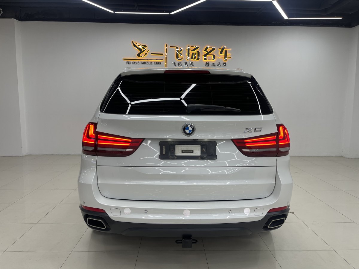 寶馬 寶馬X5  2014款 xDrive35i 領(lǐng)先型圖片