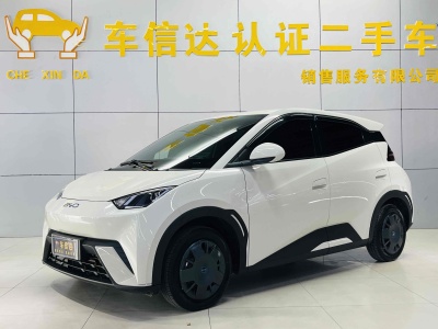 2024年9月 比亞迪 海鷗 榮耀版 305km 活力版圖片