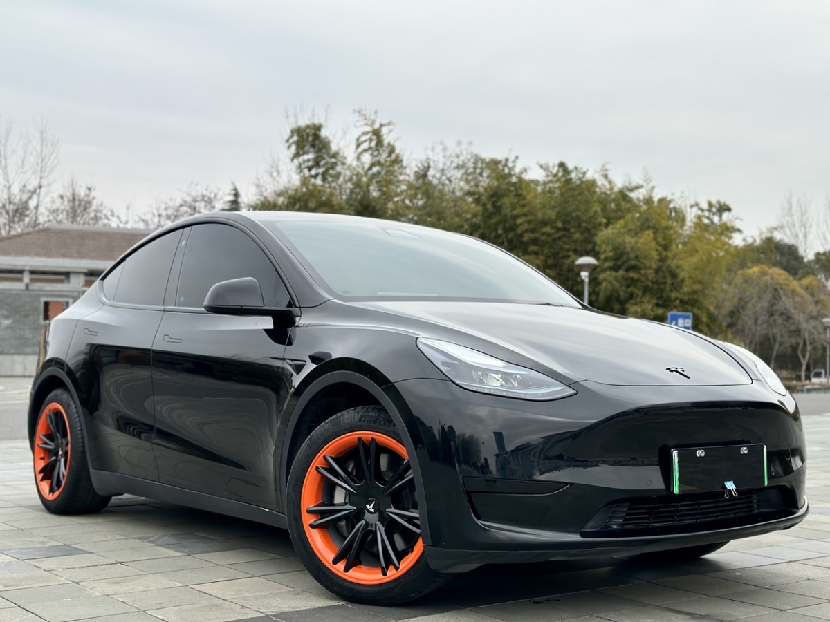 特斯拉 Model Y  2023款 后輪驅動版圖片