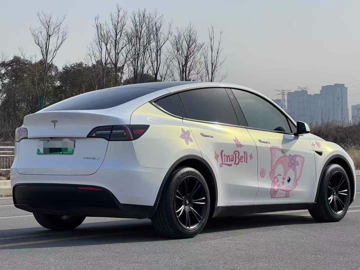 特斯拉 Model S  2023款 三電機(jī)全輪驅(qū)動(dòng) Plaid版圖片