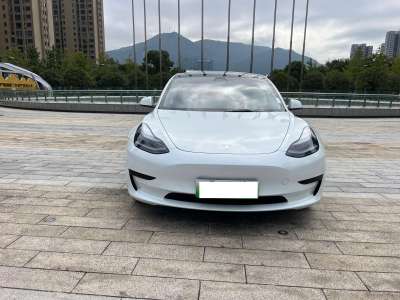 2022年3月 特斯拉 Model Y 標(biāo)準(zhǔn)續(xù)航后驅(qū)升級版 3D6圖片