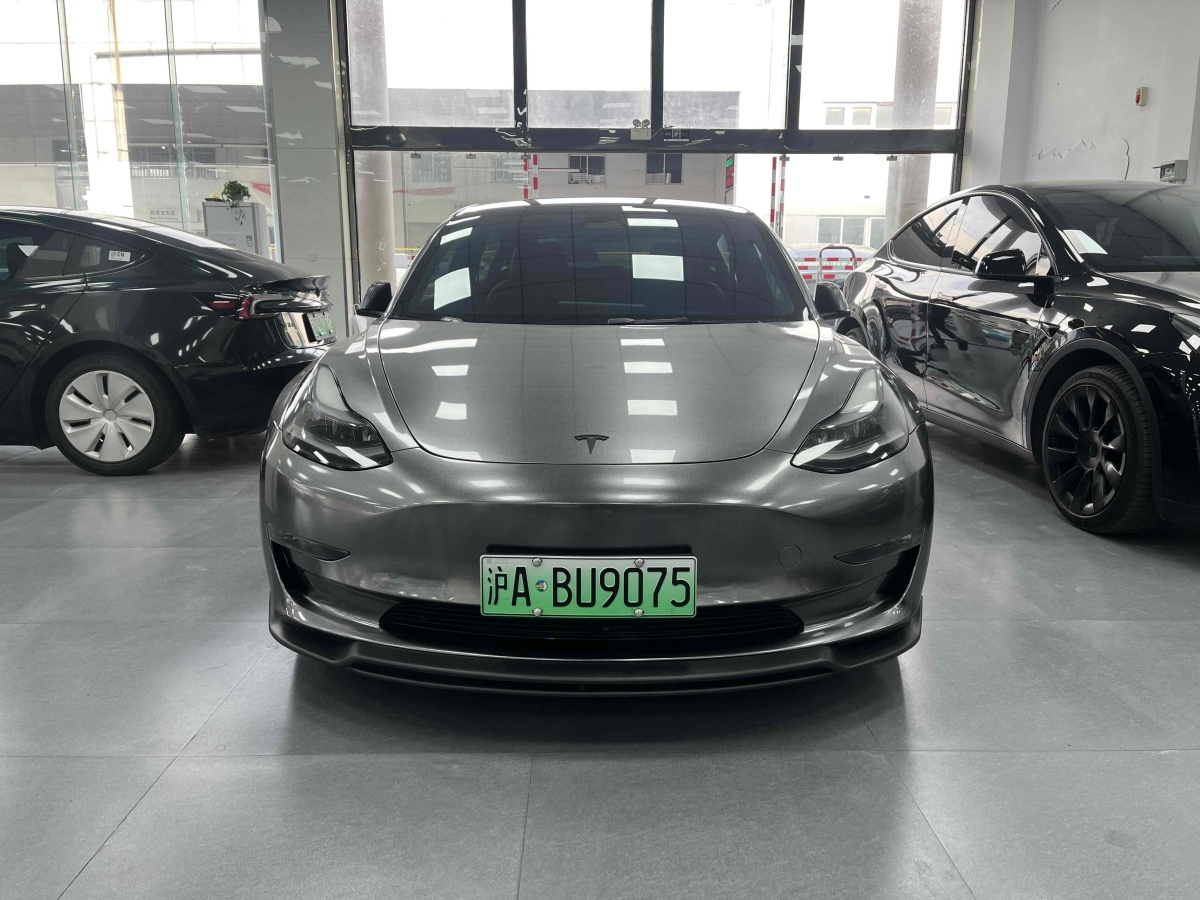 特斯拉 Model Y  2022款 Performance高性能全輪驅(qū)動(dòng)版圖片