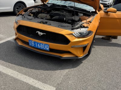 2018年6月 福特 Mustang(進(jìn)口) 2.3T EcoBoost 硬頂性能版圖片