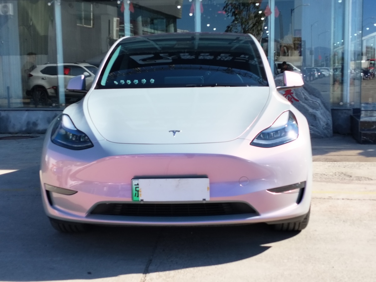 特斯拉 Model Y  2021款 改款 Performance高性能全輪驅(qū)動版圖片