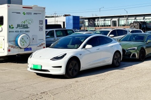 Model 3 特斯拉 標(biāo)準(zhǔn)續(xù)航后驅(qū)升級版