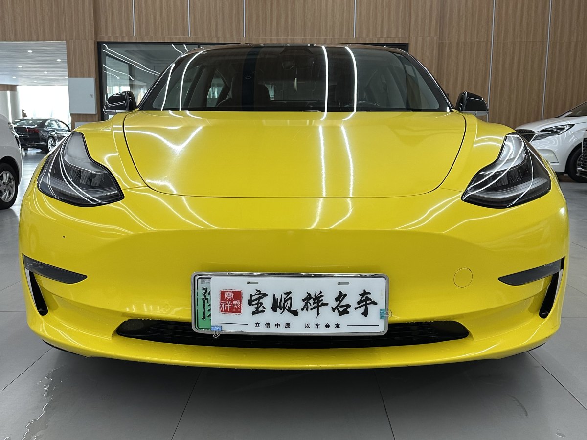 特斯拉 Model 3  2020款 改款 長續(xù)航后輪驅(qū)動版圖片