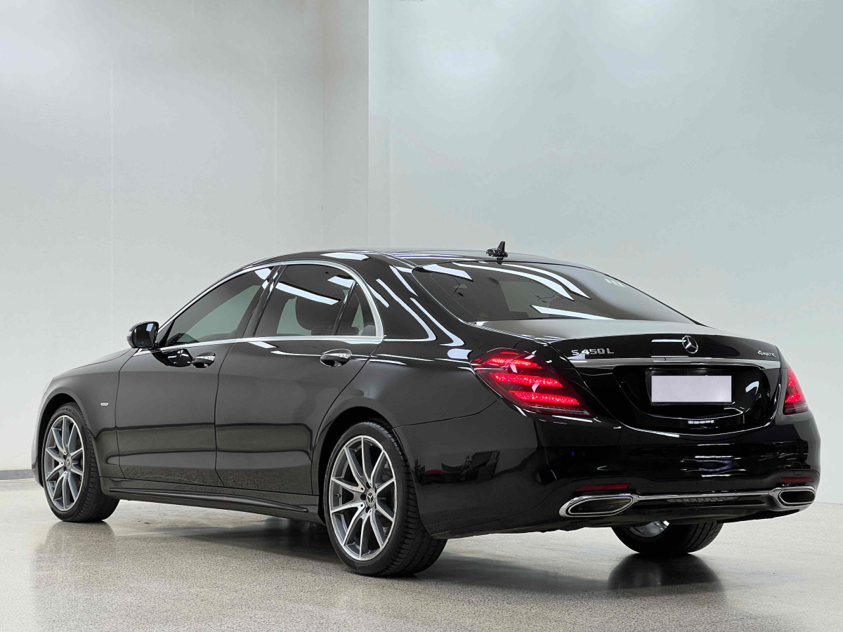 奔馳 奔馳S級  2019款 S 450 L 4MATIC 臻藏版圖片