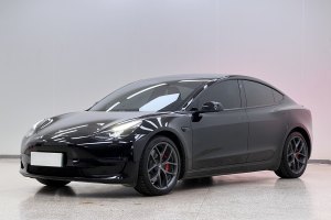 Model 3 特斯拉 Performance高性能全轮驱动版