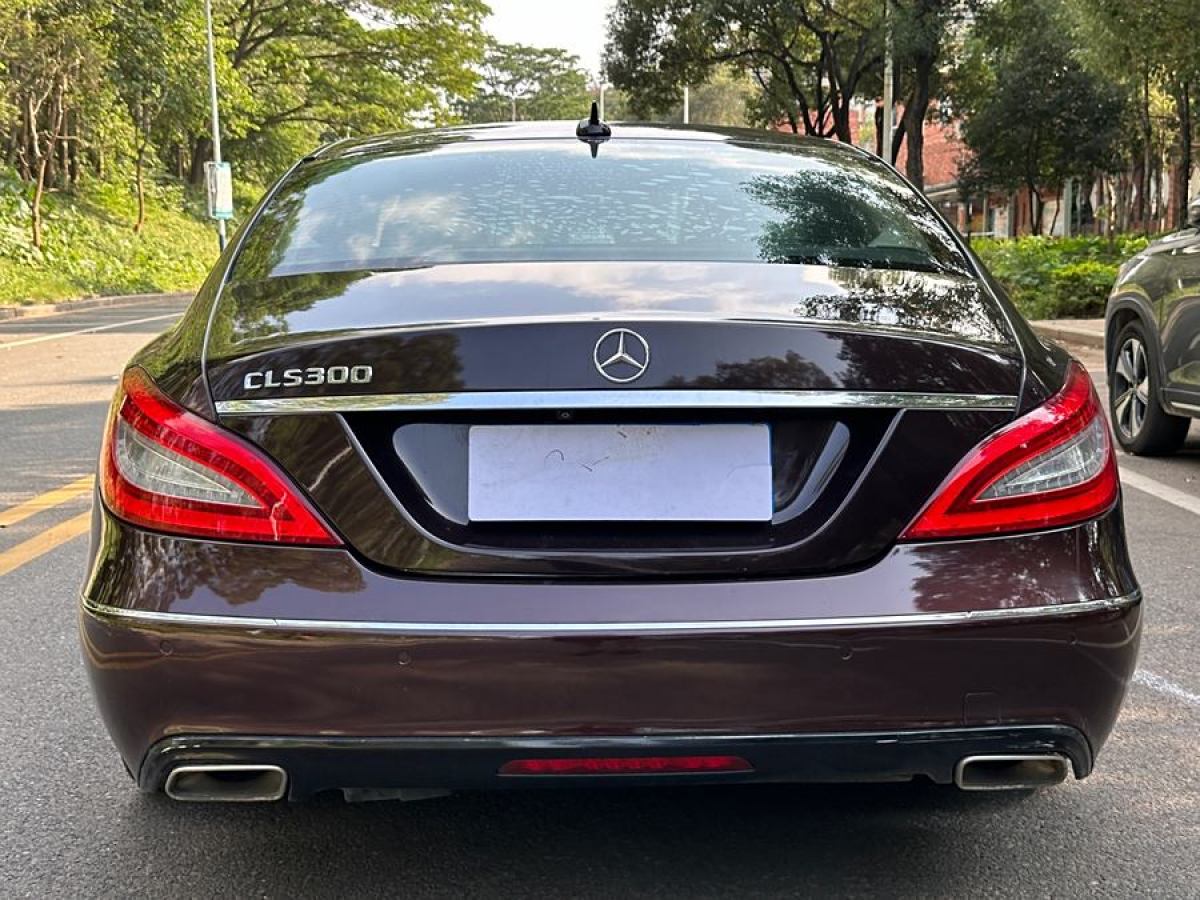 奔馳 奔馳CLS級(jí)  2012款 CLS 300 CGI圖片