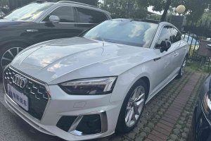 奧迪A5 奧迪 Sportback 40 TFSI 時(shí)尚動(dòng)感型
