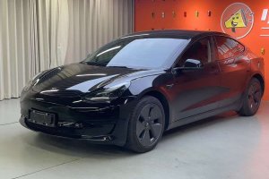 Model 3 特斯拉 后輪驅(qū)動版