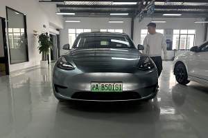 Model 3 特斯拉 后轮驱动版