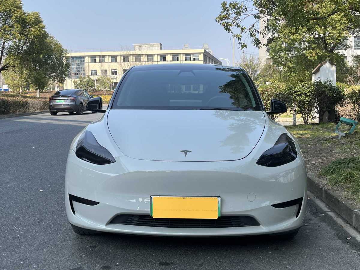 特斯拉 Model 3  2022款 后輪驅(qū)動(dòng)版圖片