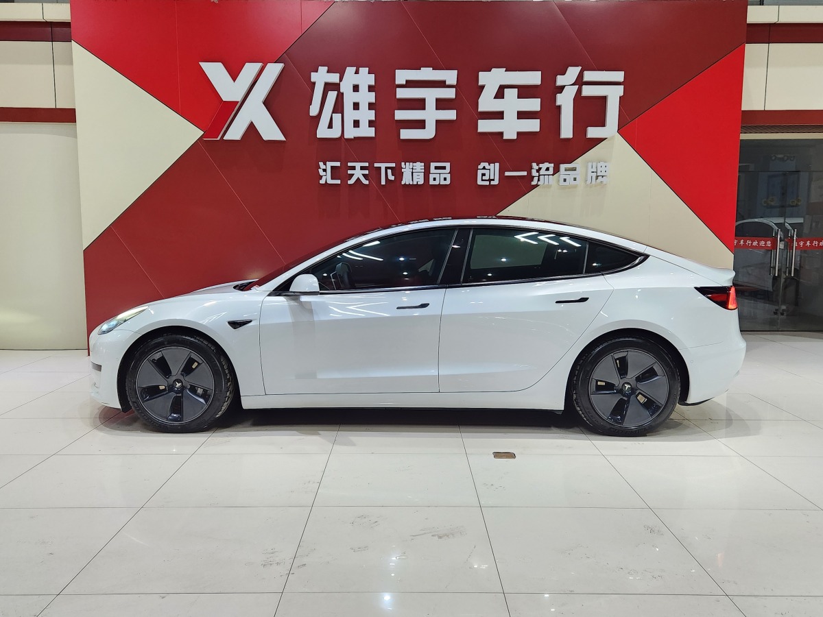 特斯拉 Model 3  2019款 標(biāo)準(zhǔn)續(xù)航后驅(qū)升級版圖片