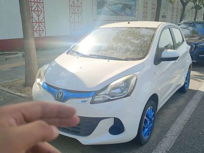 2018年1月 长安 奔奔EV EV260 标准型图片