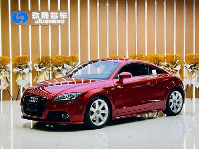 2014年1月 奧迪 奧迪TT(進口) TT Coupe 45 TFSI 彩色夢幻版圖片