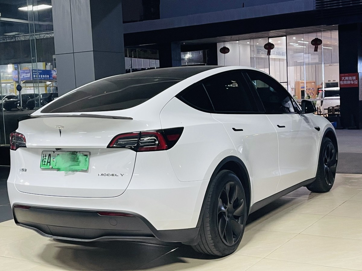 特斯拉 Model 3  2020款 改款 長續(xù)航后輪驅(qū)動版圖片