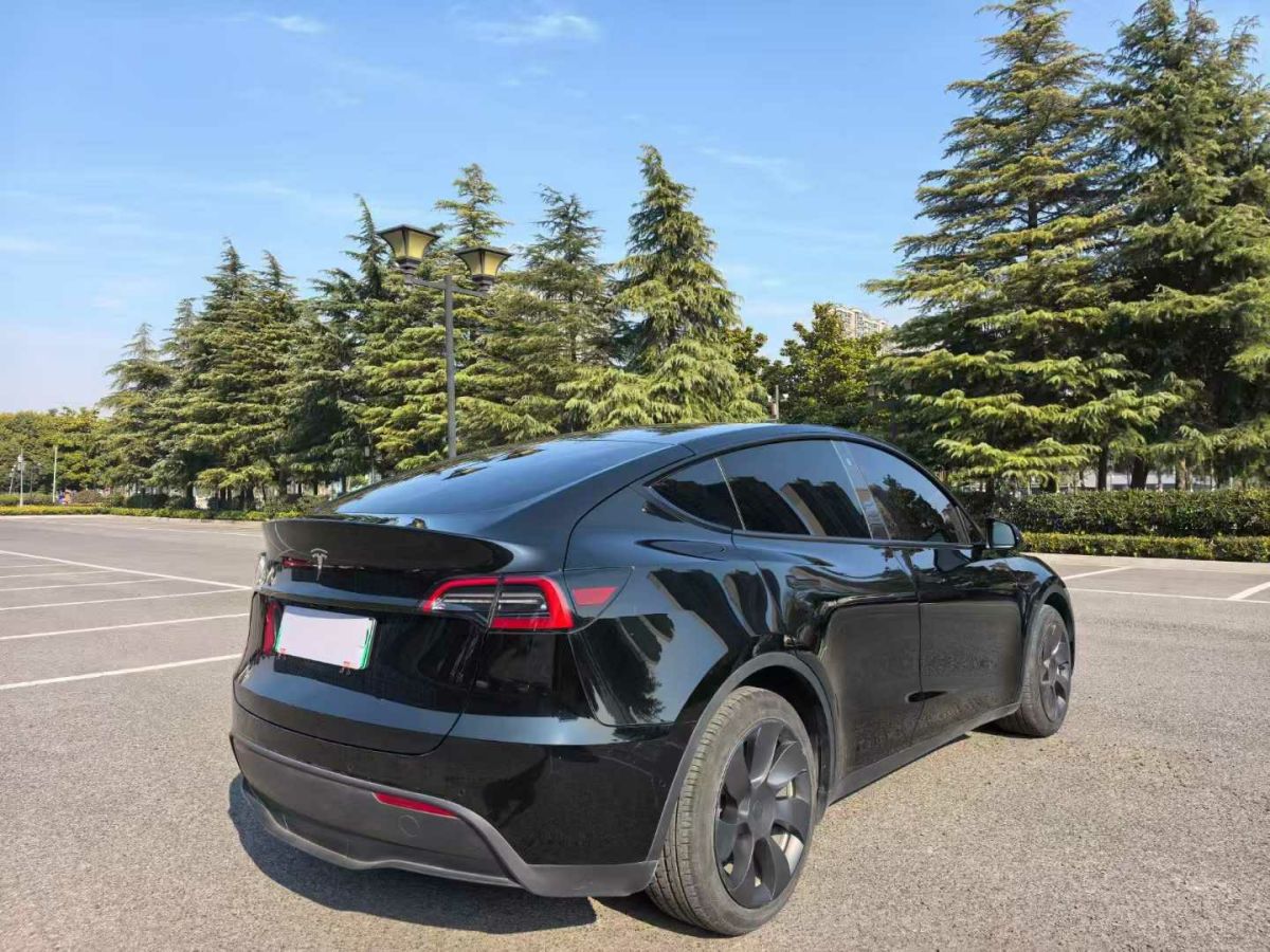 特斯拉 Model Y  2022款 后驅(qū)版圖片