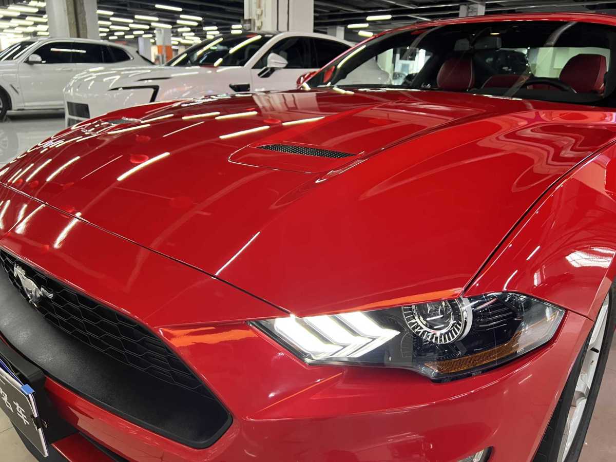 福特 Mustang  2020款 2.3L EcoBoost圖片