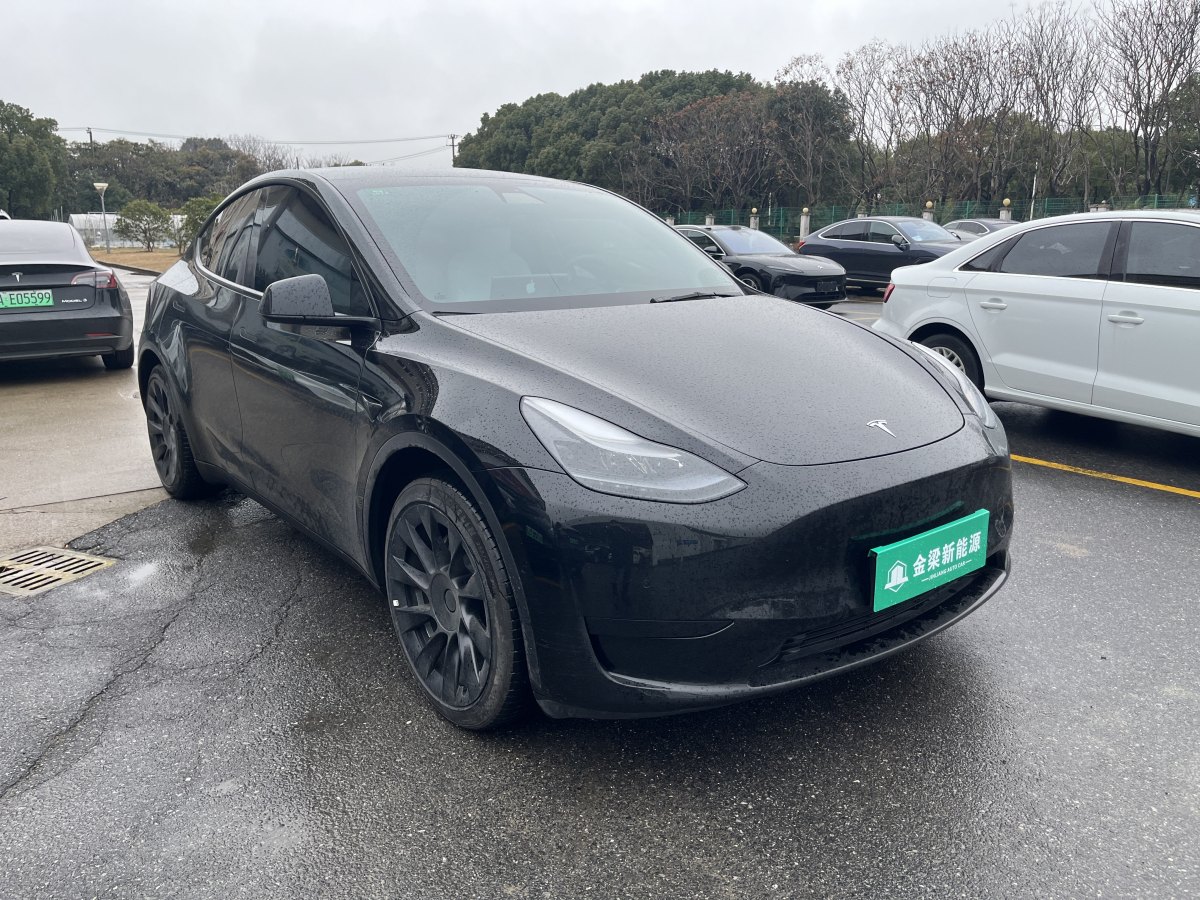 特斯拉 Model Y  2022款 后轮驱动版图片