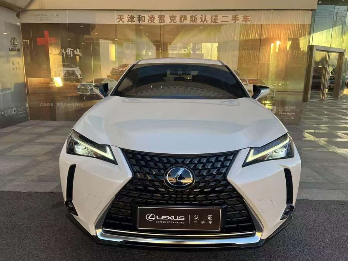 雷克薩斯 雷克薩斯UX新能源  2020款 300e 純?享版圖片