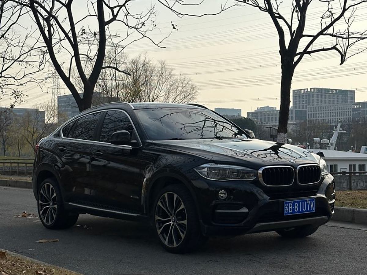 寶馬 寶馬X6  2017款 xDrive35i 領(lǐng)先型圖片