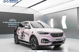 VV6 WEY 2.0T 兩驅(qū)智護(hù)+