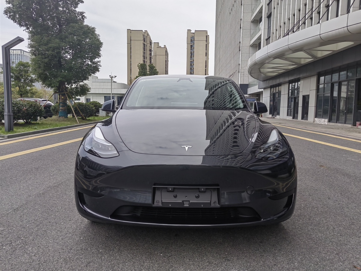 特斯拉 Model Y  2024款 后輪驅(qū)動版圖片