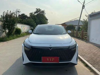 2024年1月 启辰 启辰大V 260T 新星版 Pro图片