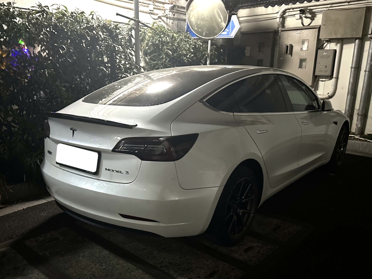 特斯拉 Model 3 2019款 標準續(xù)航后驅升級版圖片