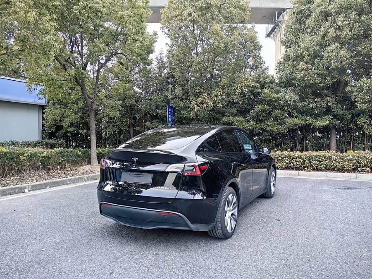 特斯拉 Model 3  2020款 改款 長(zhǎng)續(xù)航后輪驅(qū)動(dòng)版圖片