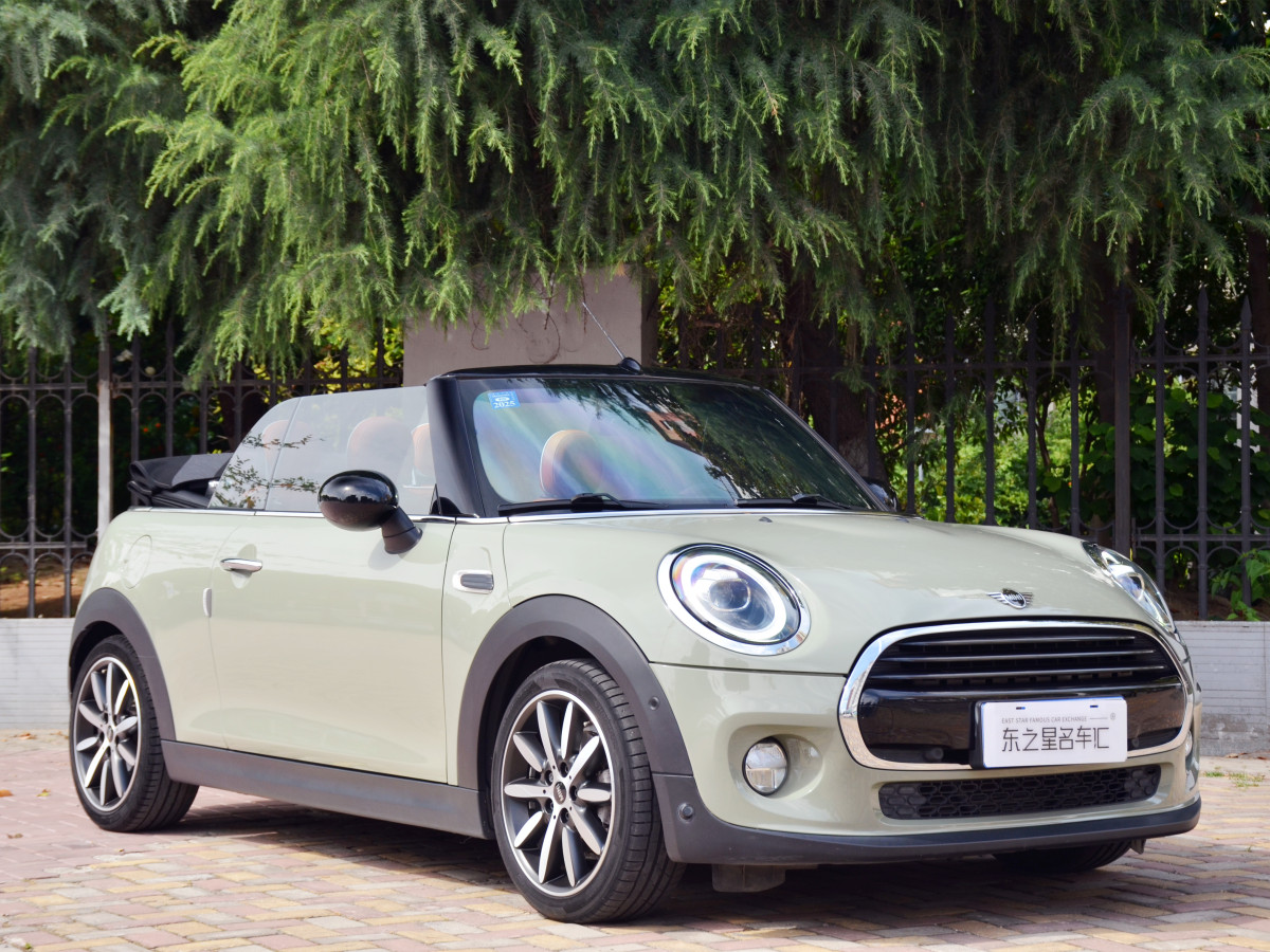 MINI MINI  2018款 1.5T COOPER CABRIO 藝術(shù)家圖片