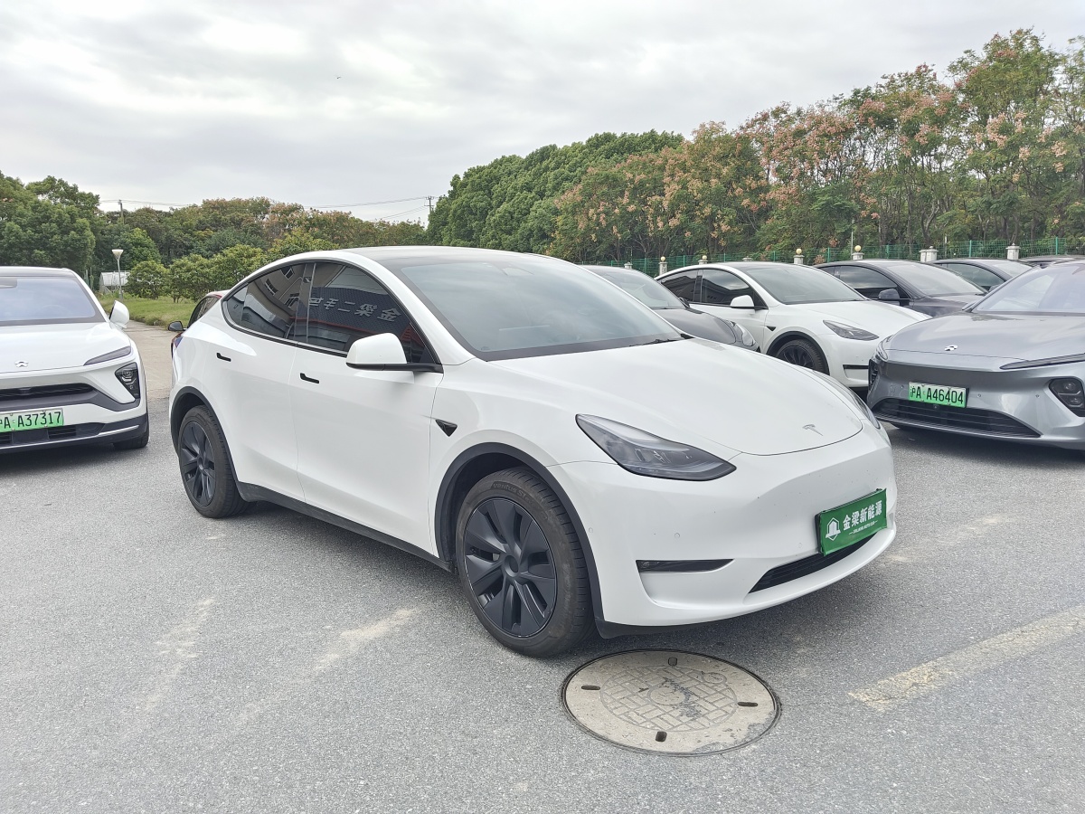 特斯拉 Model Y  2023款 長(zhǎng)續(xù)航煥新版 雙電機(jī)全輪驅(qū)動(dòng)圖片