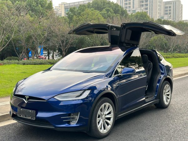 特斯拉 Model X  2019款 长续航版