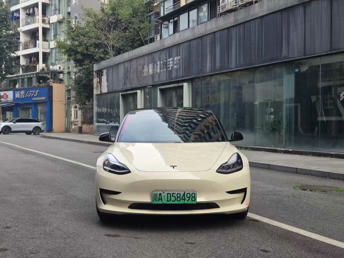 特斯拉 Model 3  2020款 標(biāo)準(zhǔn)續(xù)航后驅(qū)升級(jí)版圖片