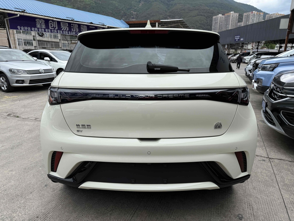 比亞迪 海豚  2023款 420km 時(shí)尚版圖片