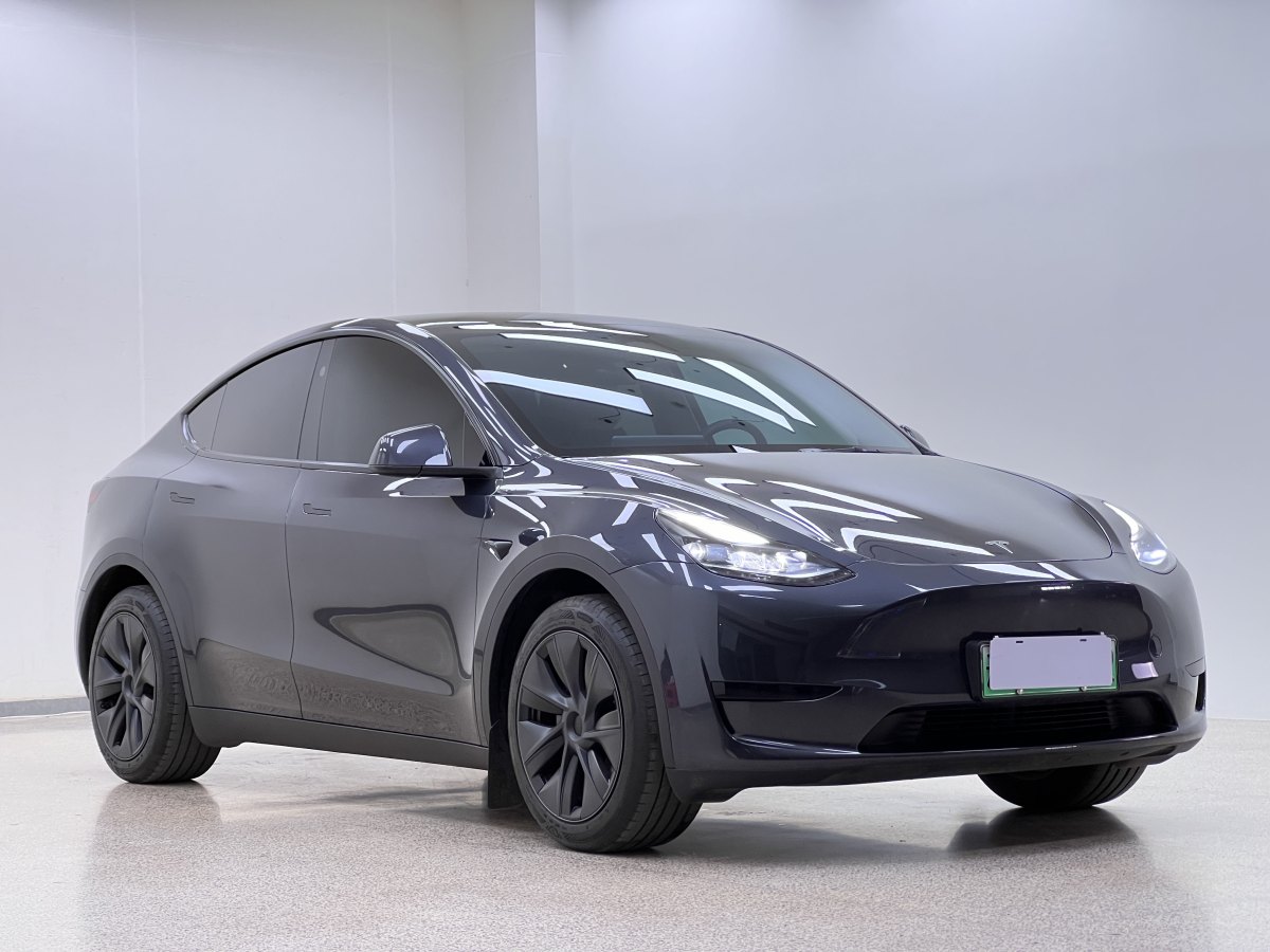 特斯拉 Model Y  2020款 改款 長續(xù)航后輪驅(qū)動版圖片